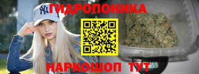 индика Пыть-Ях
